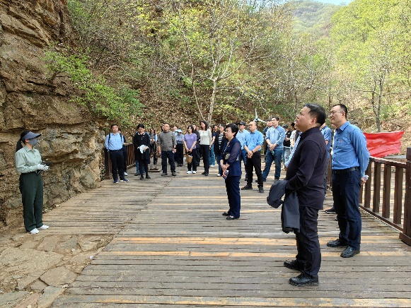 Z6尊龙·凯时(中国)人生就是搏！