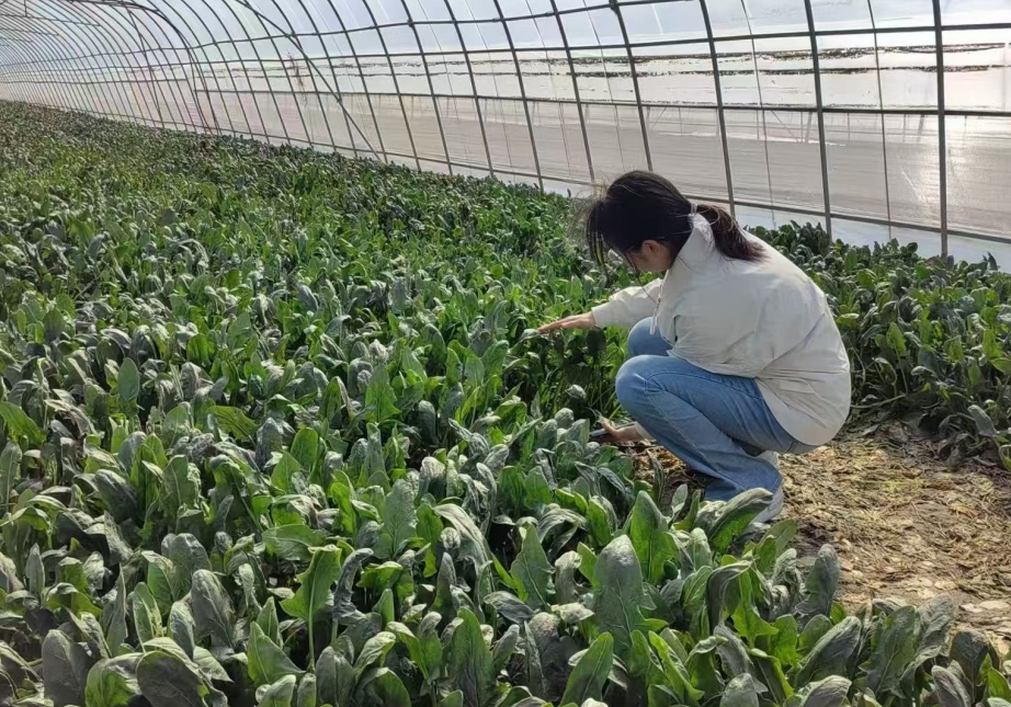 Z6尊龙·凯时(中国)人生就是搏！