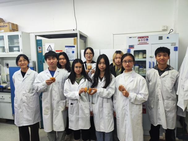 Z6尊龙·凯时(中国)人生就是搏！