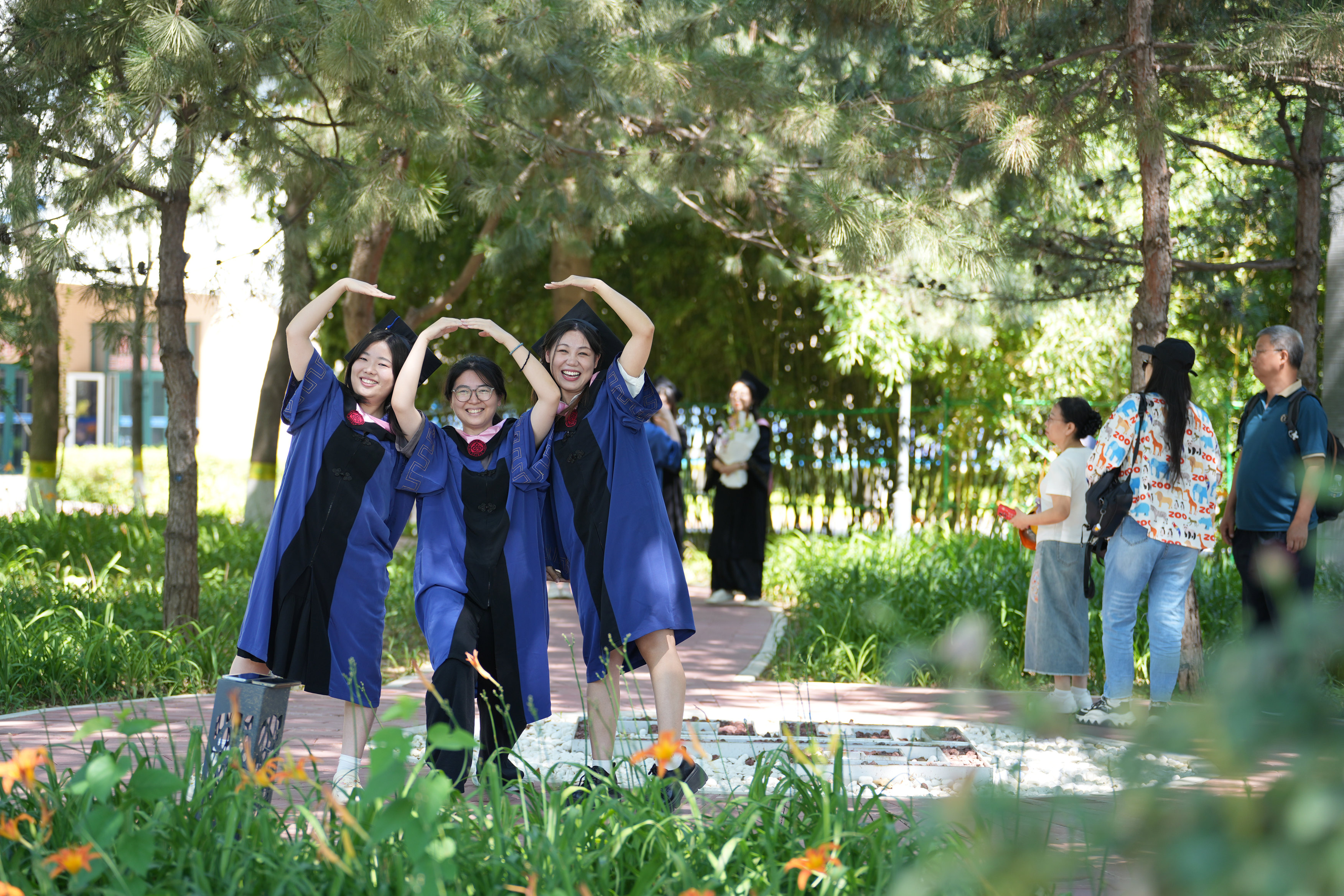 Z6尊龙·凯时(中国)人生就是搏！