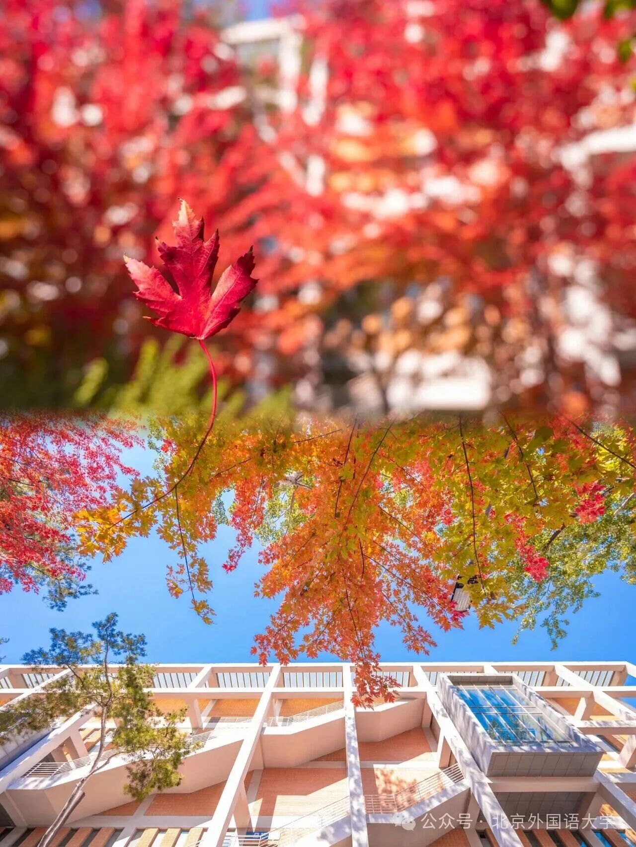 Z6尊龙·凯时(中国)人生就是搏！