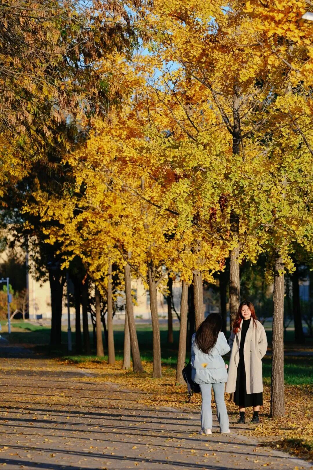 Z6尊龙·凯时(中国)人生就是搏！