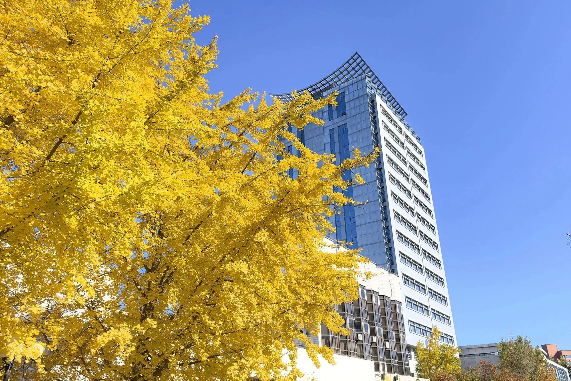 Z6尊龙·凯时(中国)人生就是搏！