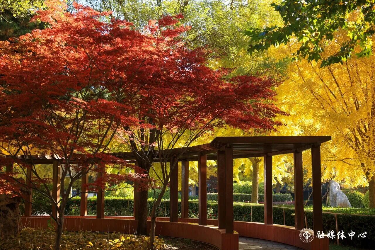 Z6尊龙·凯时(中国)人生就是搏！