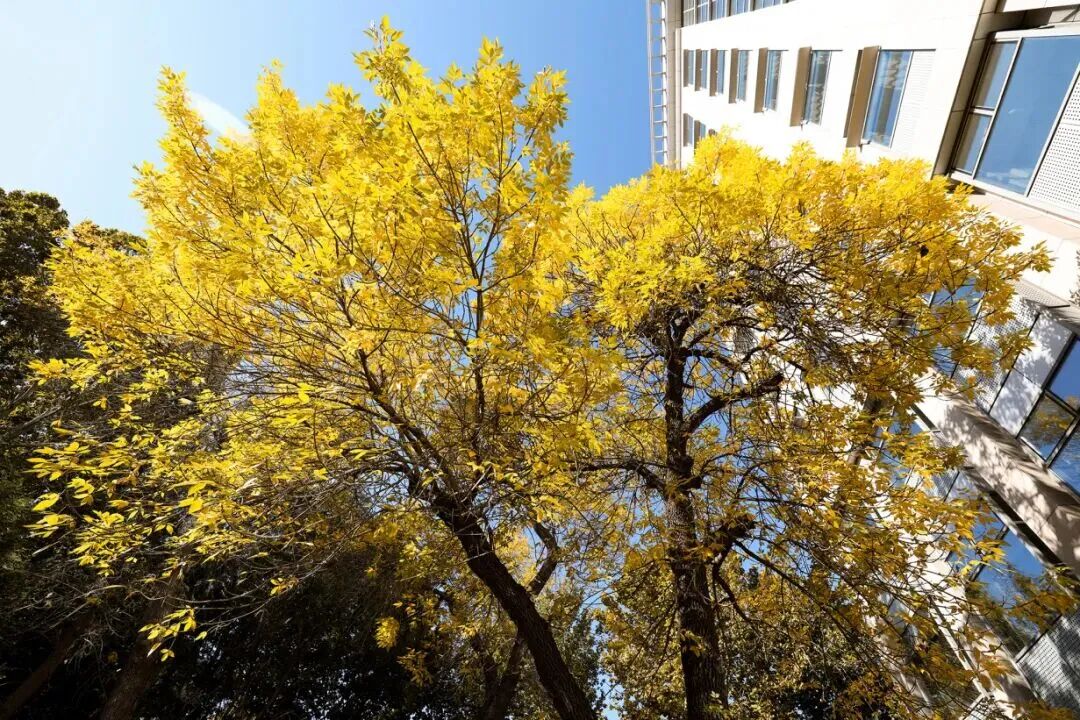 Z6尊龙·凯时(中国)人生就是搏！