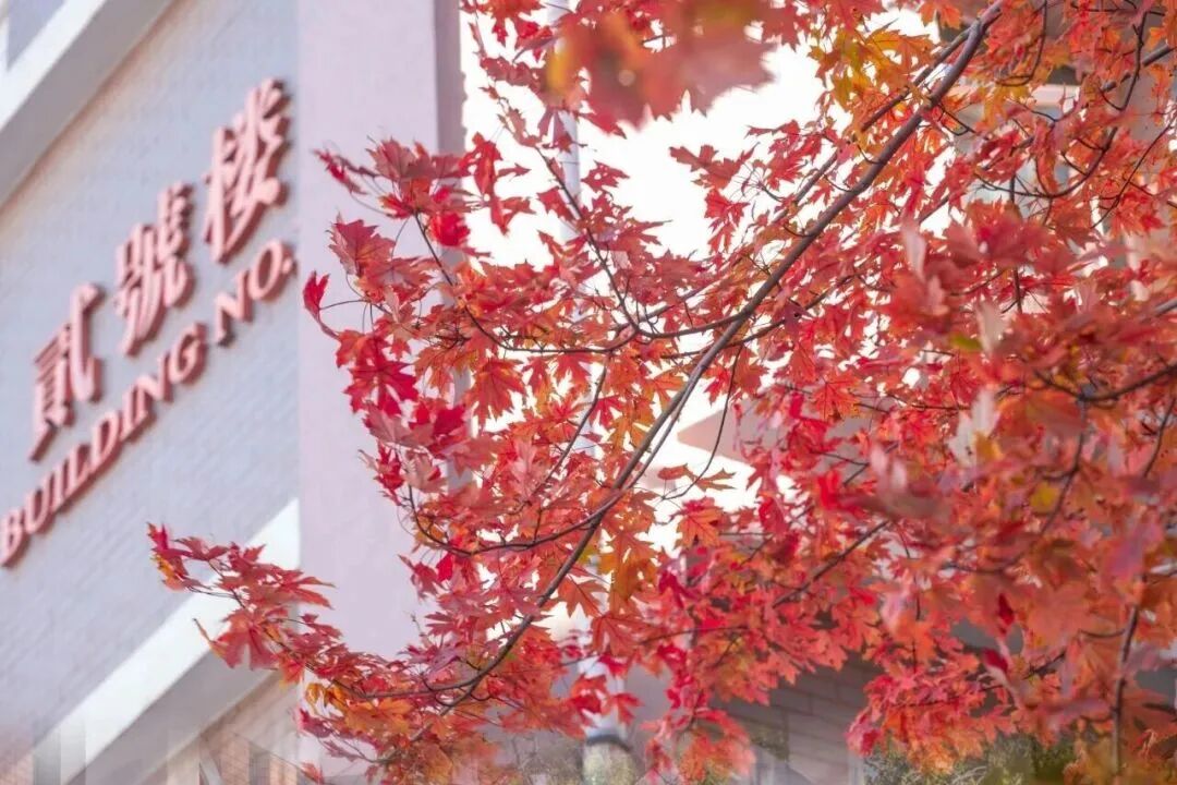 Z6尊龙·凯时(中国)人生就是搏！