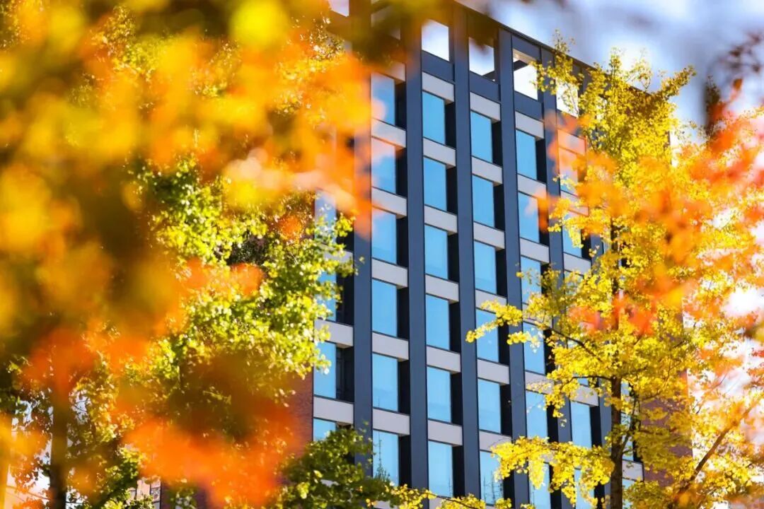 Z6尊龙·凯时(中国)人生就是搏！