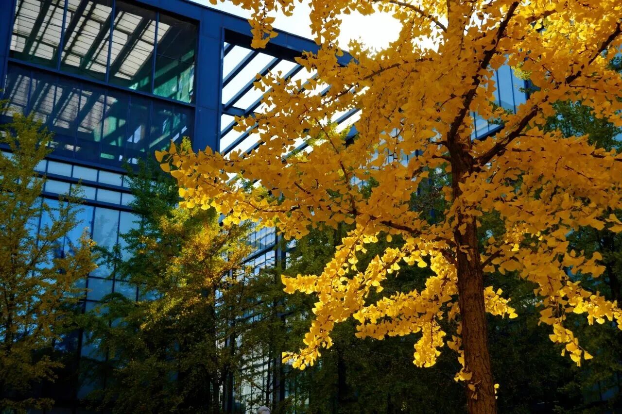 Z6尊龙·凯时(中国)人生就是搏！