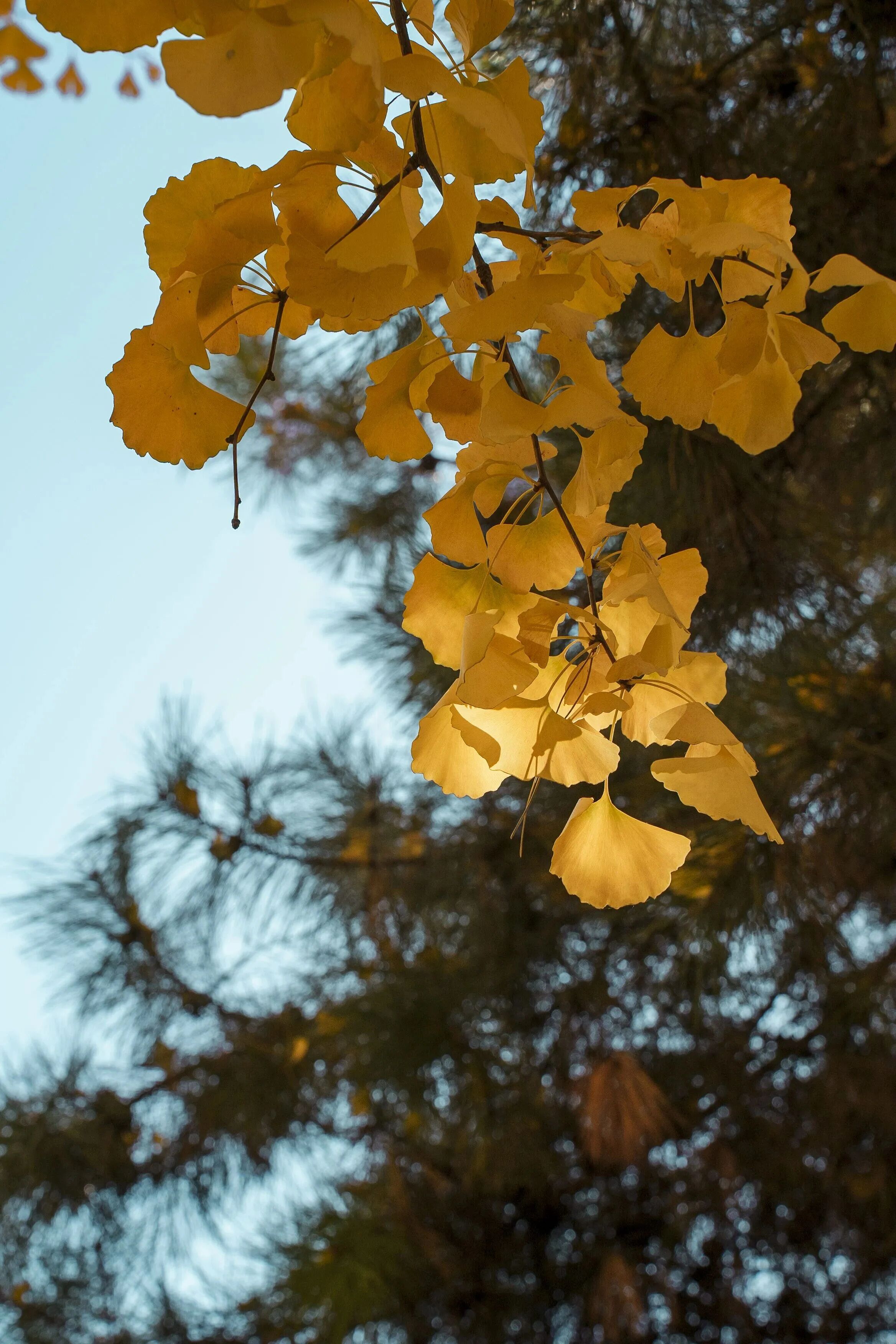 Z6尊龙·凯时(中国)人生就是搏！