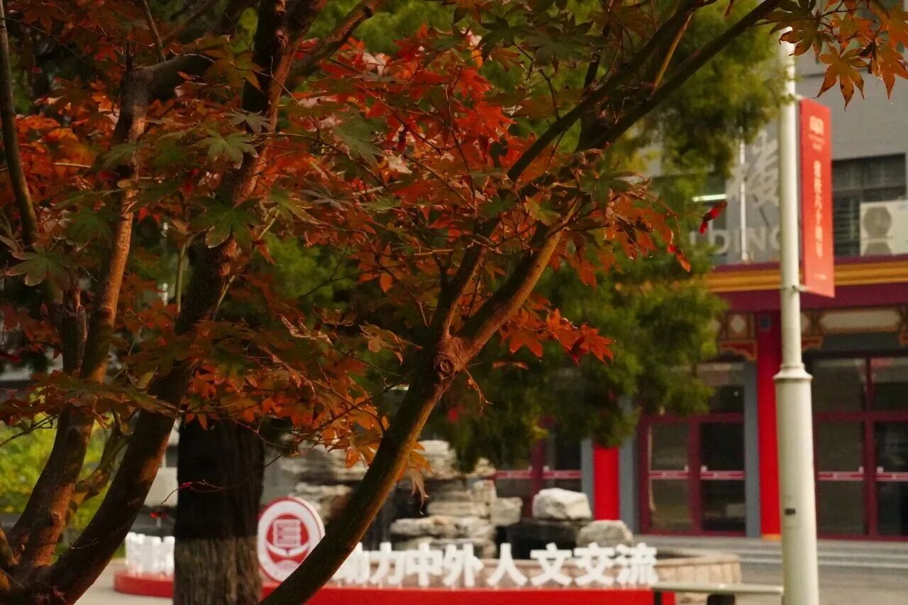 Z6尊龙·凯时(中国)人生就是搏！