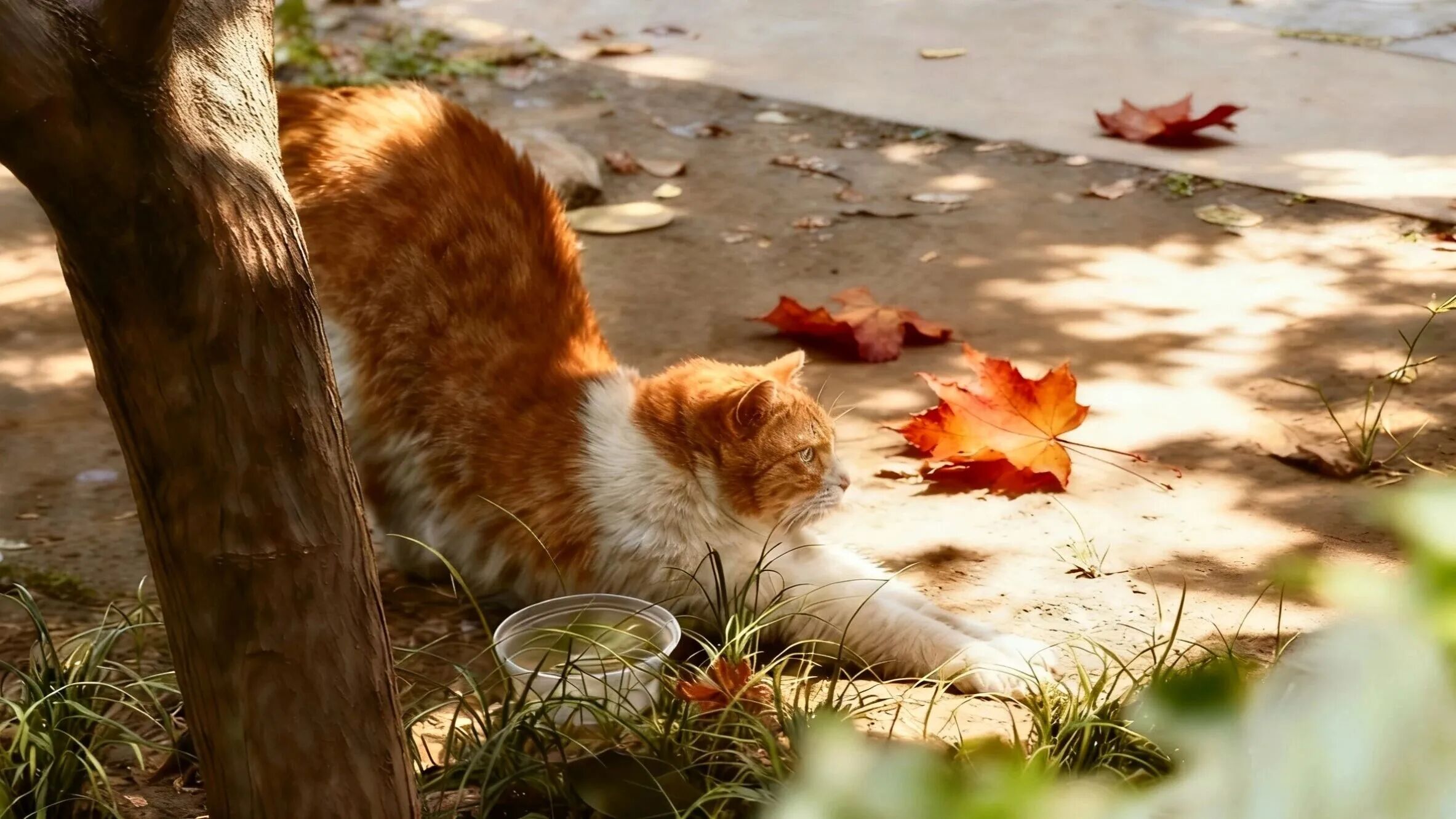 Z6尊龙·凯时(中国)人生就是搏！