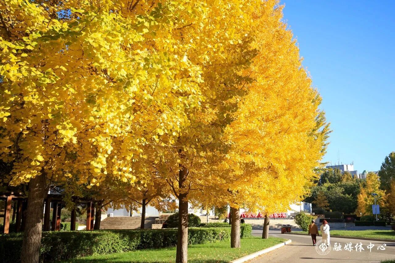 Z6尊龙·凯时(中国)人生就是搏！