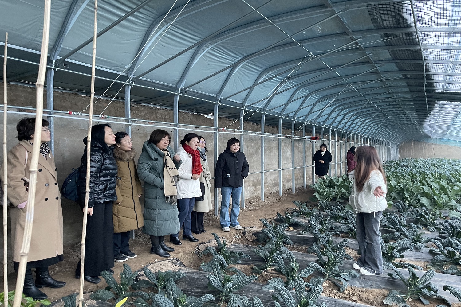 Z6尊龙·凯时(中国)人生就是搏！