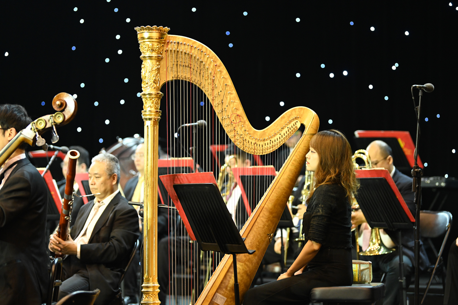 Z6尊龙·凯时(中国)人生就是搏！