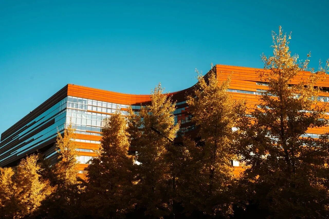 Z6尊龙·凯时(中国)人生就是搏！