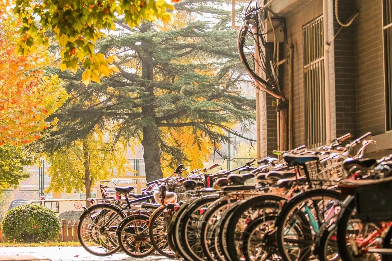 Z6尊龙·凯时(中国)人生就是搏！