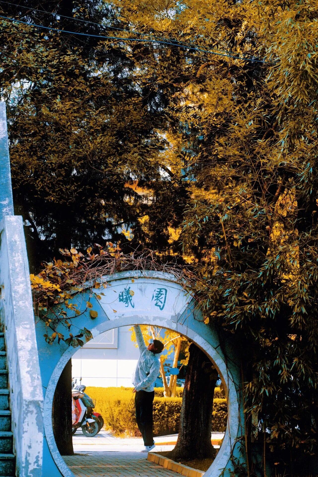 Z6尊龙·凯时(中国)人生就是搏！