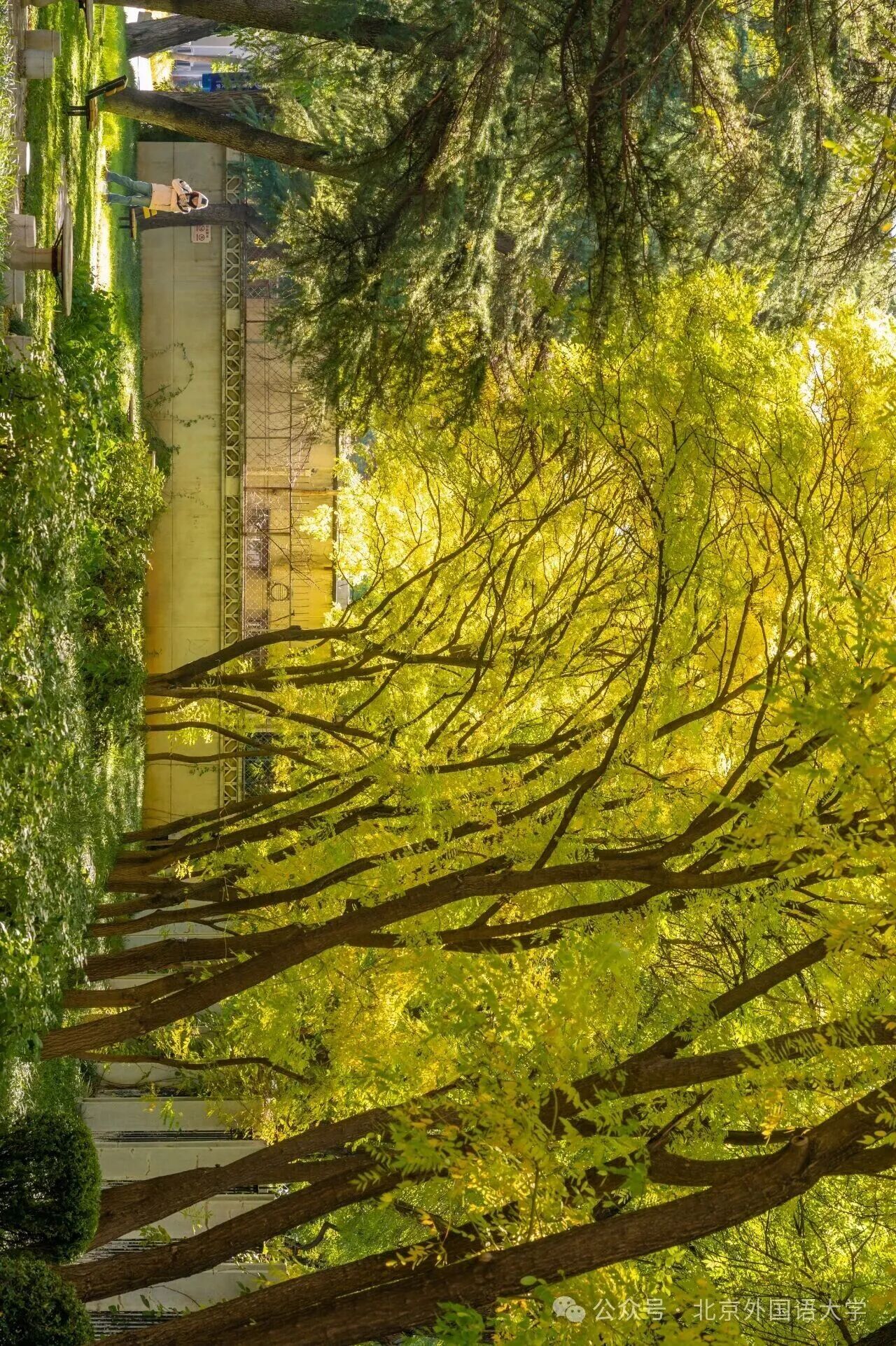 Z6尊龙·凯时(中国)人生就是搏！