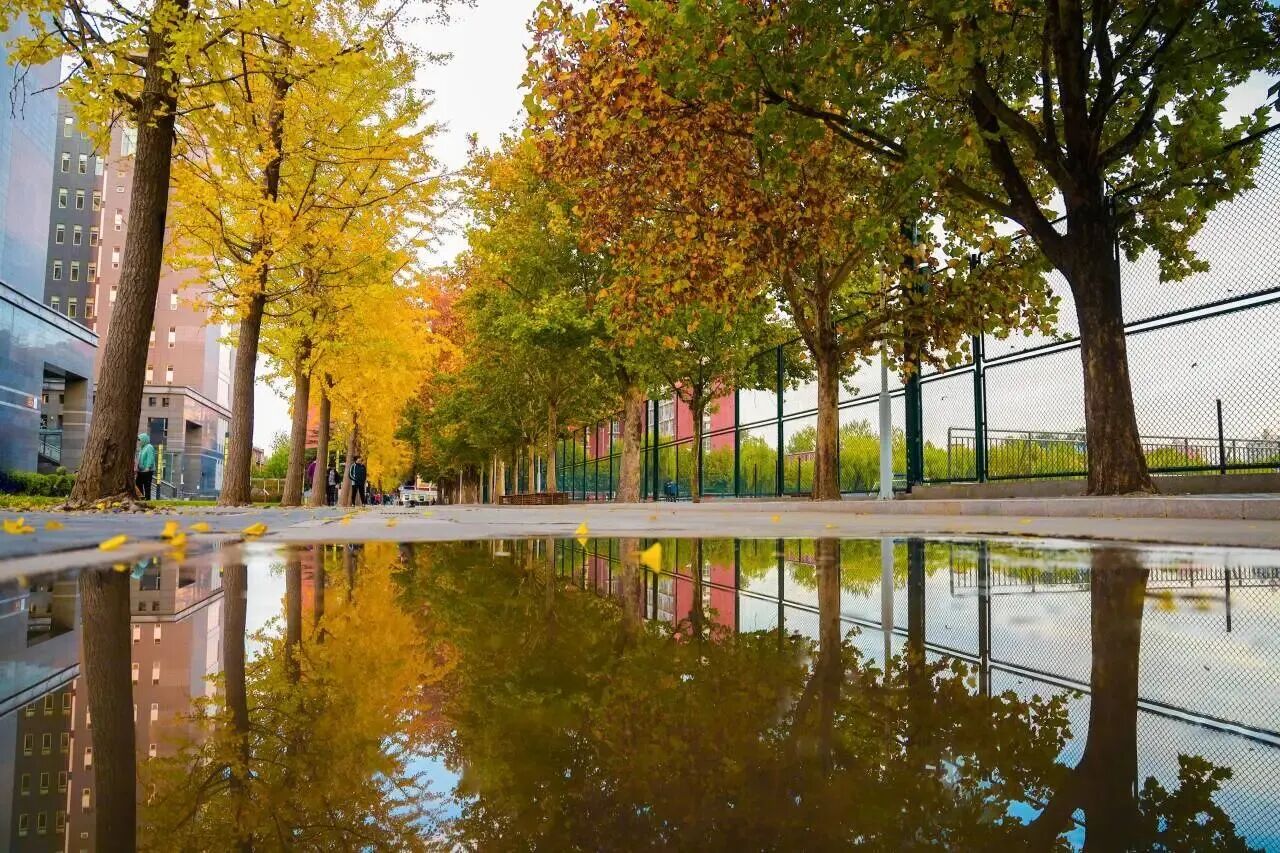 Z6尊龙·凯时(中国)人生就是搏！