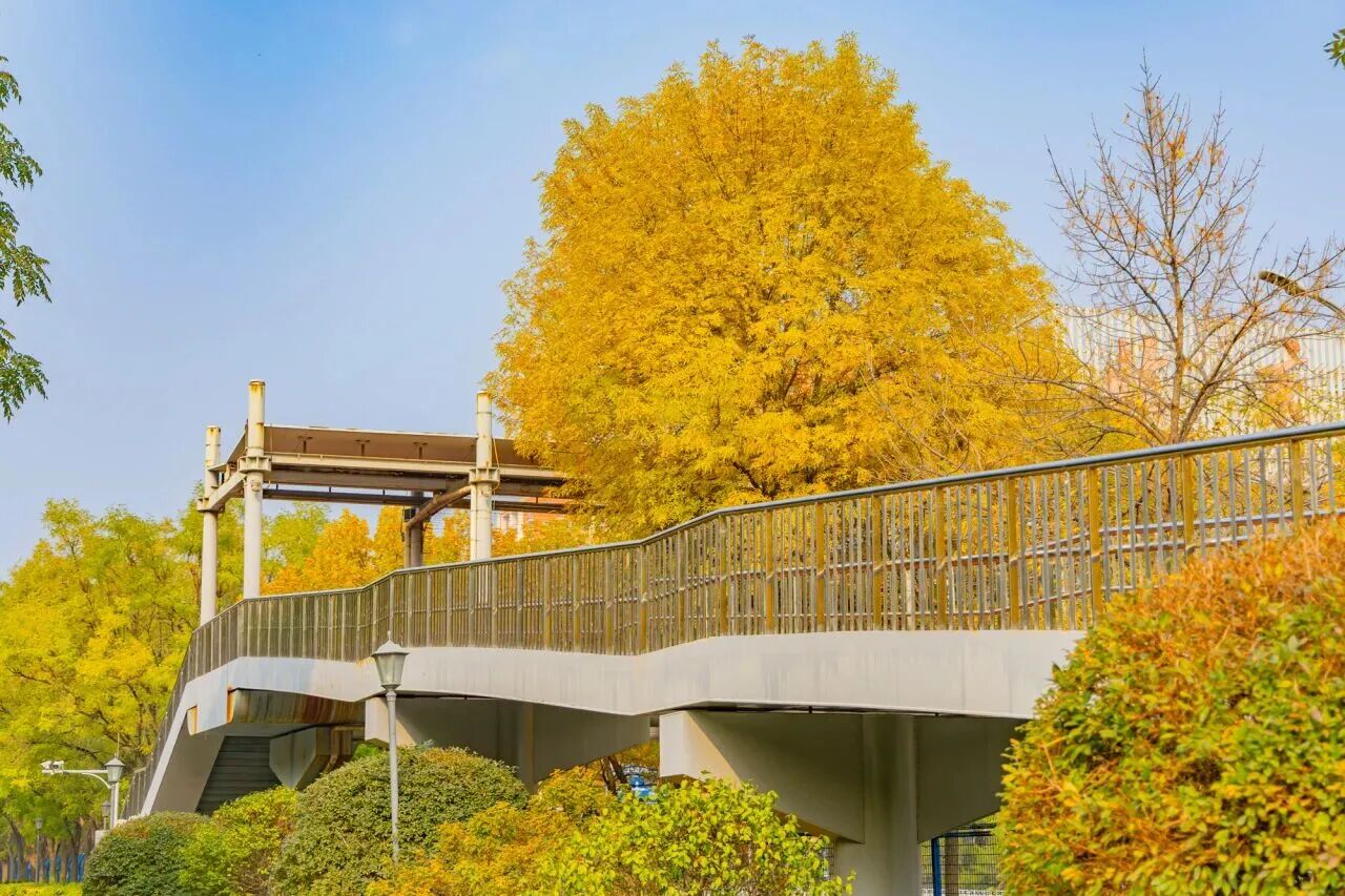 Z6尊龙·凯时(中国)人生就是搏！