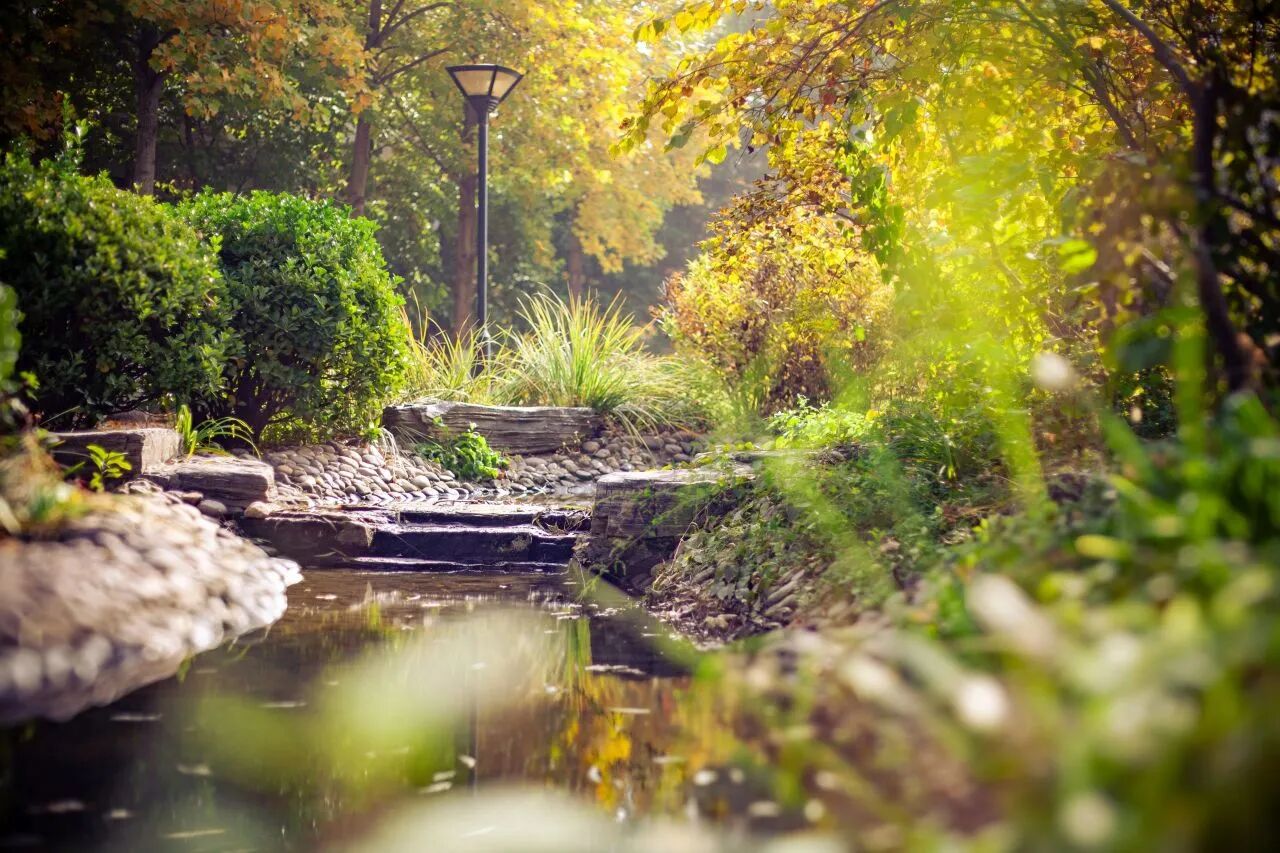 Z6尊龙·凯时(中国)人生就是搏！