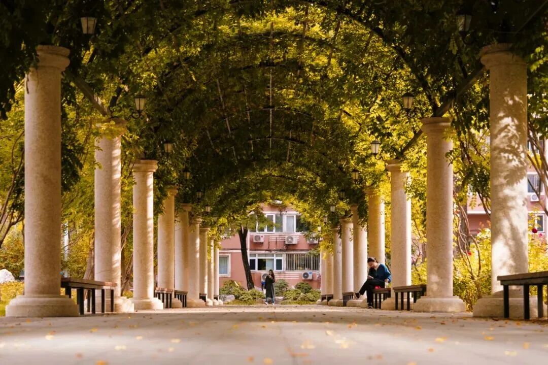 Z6尊龙·凯时(中国)人生就是搏！