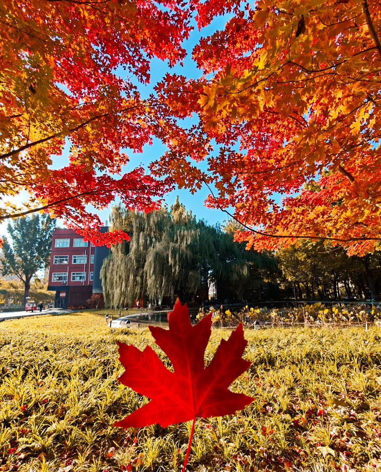 Z6尊龙·凯时(中国)人生就是搏！