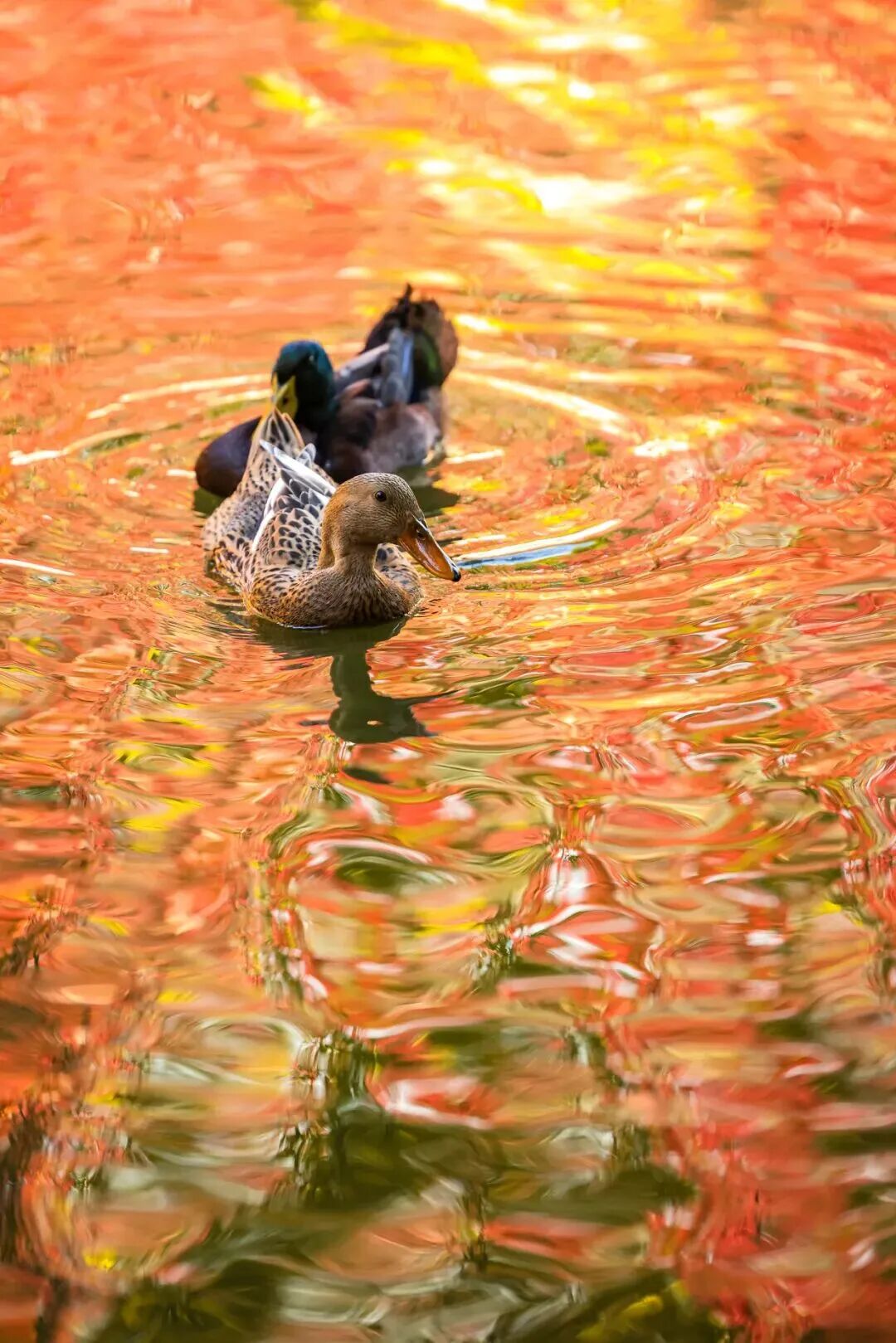 Z6尊龙·凯时(中国)人生就是搏！