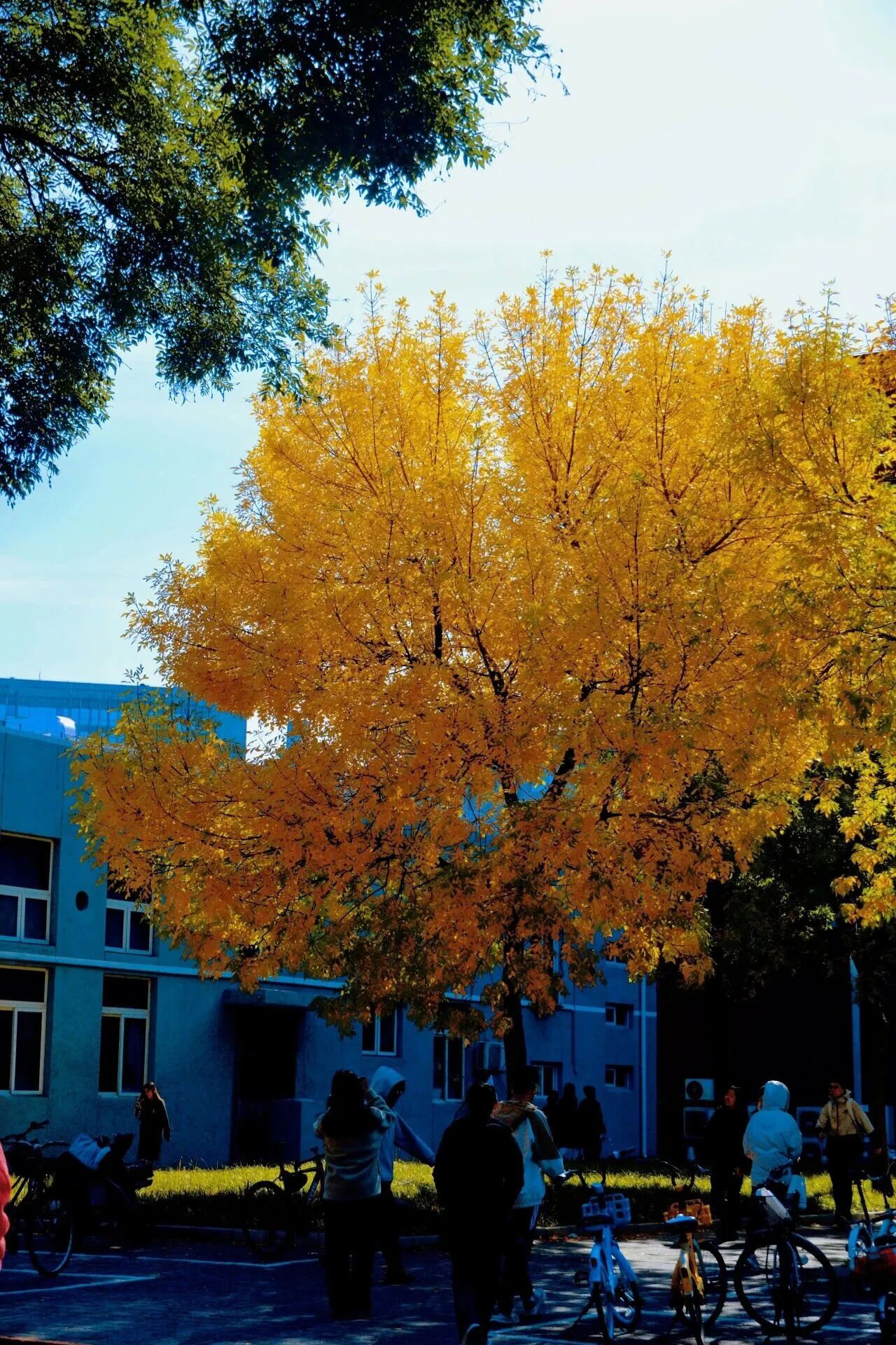 Z6尊龙·凯时(中国)人生就是搏！